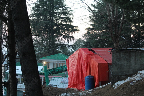 Wallpaper Mural Beauty of Nature Torontodigital.ca