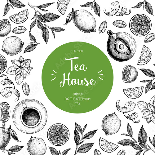 Tea vector illustration. Citrus and tea leaves. Healthy drink. Hand drawn sketch. Engraved style. Can used for vintage package design with tea product. Vector hand drawn set.