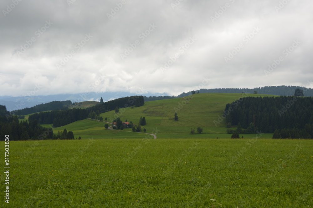 Obraz premium paysage vert