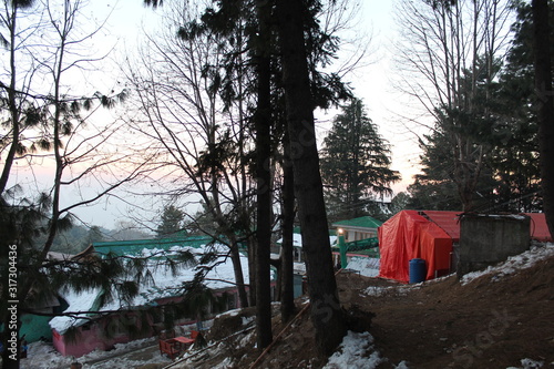 Wallpaper Mural Beauty of Nature Torontodigital.ca