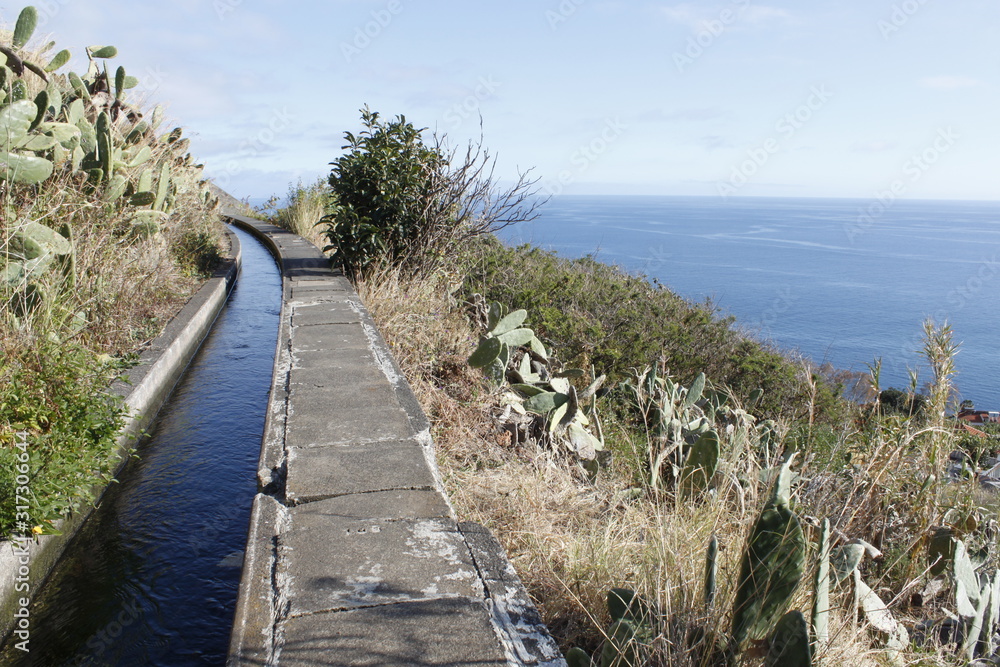 levada with cacti and look at the atlantic ocean in Funchal at madeira island