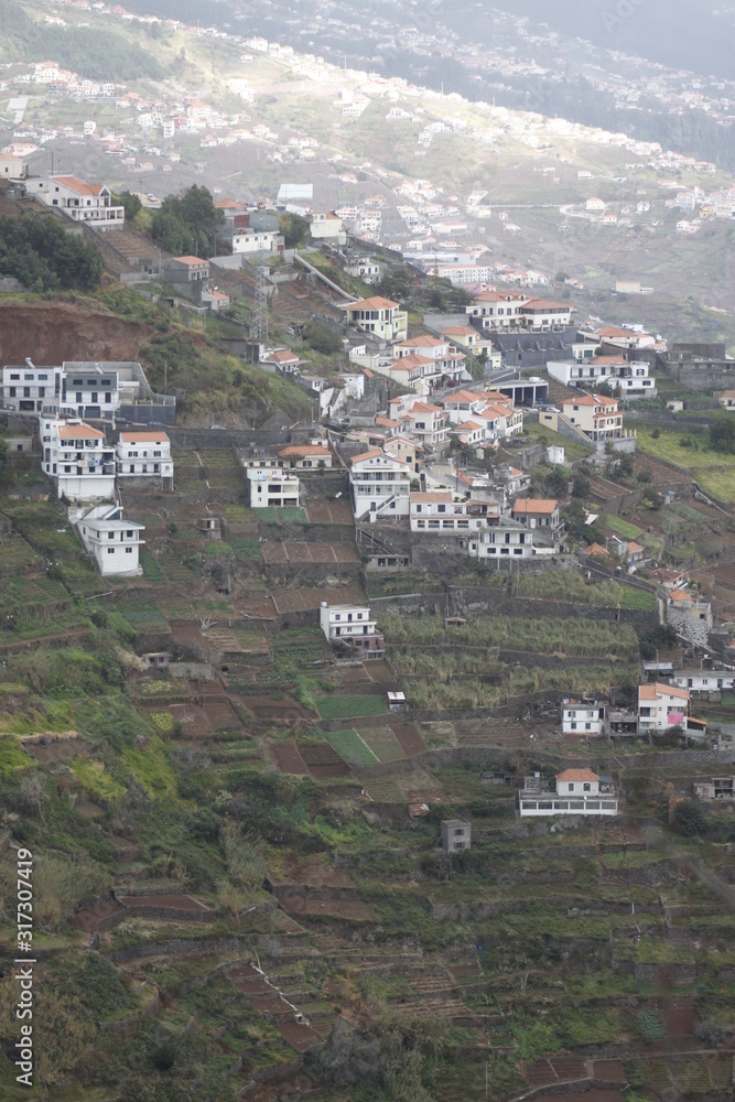 Fototapeta premium aerial view of a village with terrace fields at madeira island