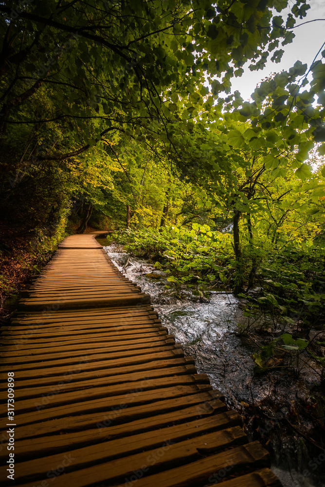 View of empty boardwalk in Plitvice Lakes National Park, Croatia View of empty boardwalk in Plitvice Lakes National Park, Croatia