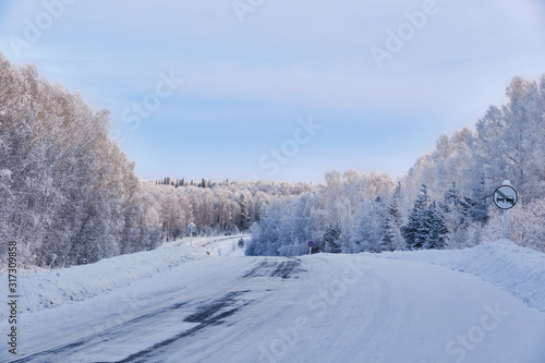 Winter landscape. Winding road through the snowy taiga. Along the edges of the pine, fir and birch are covered with snow. Salair Ridge. Western Siberia. Russia.
