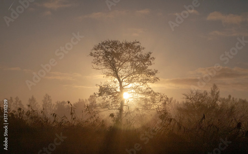 Wallpaper Mural sunrise Torontodigital.ca