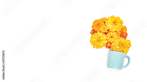tea cup with fresh orange marigold flowers. autumn concept on white background. banner with space for text, flat lay