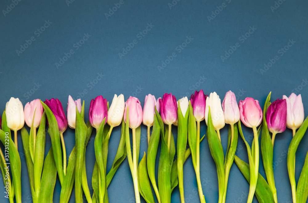 Fototapeta Bouquet of tulips on classic blue background. Holiday concept. Greeting for Women's or Mothers Day, Valentines day