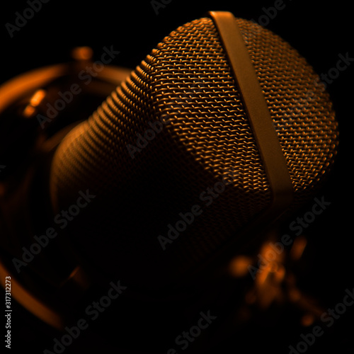 Microphone