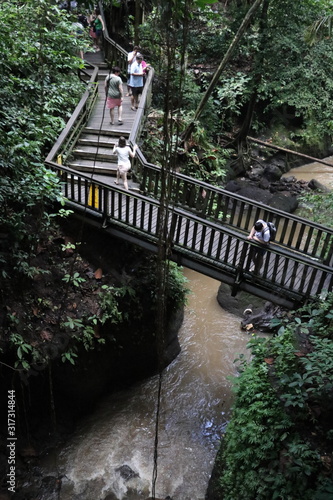 wooden bridge in the jungle