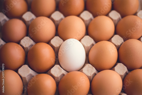 Many brown eggs and one white egg in the middle of carton background.