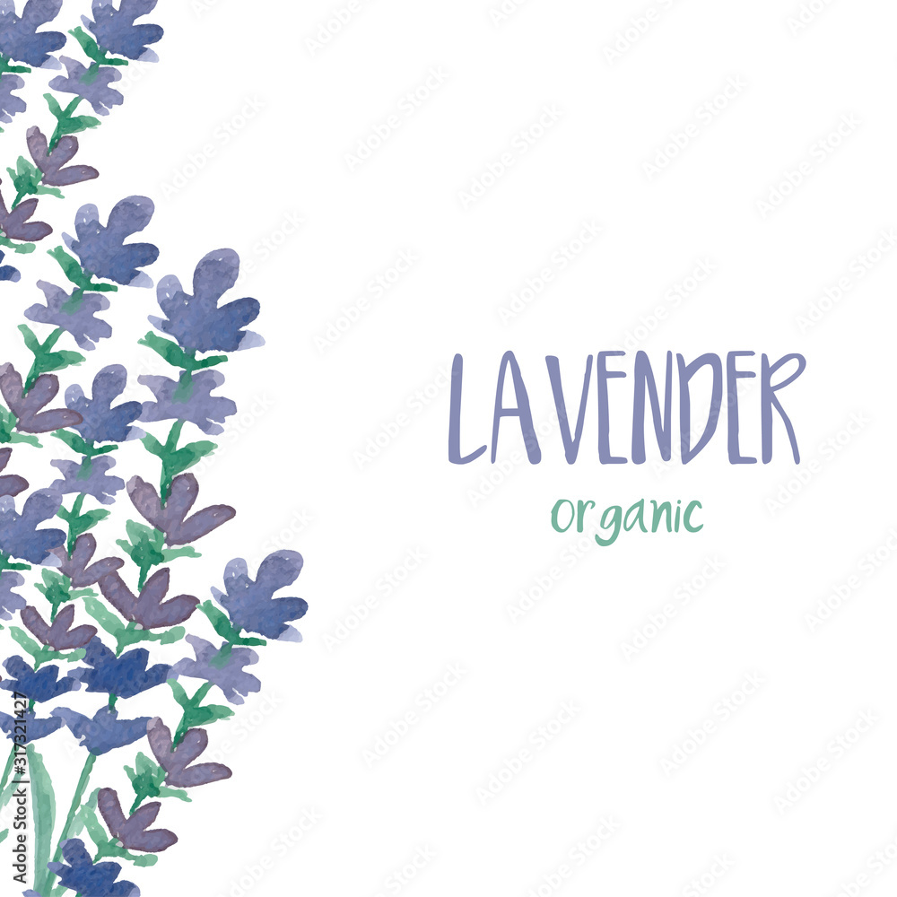 Template logo design of watercolor abstract icon lavender flower. Vector illustration Template logo design of watercolor abstract icon lavender flower. Vector illustration