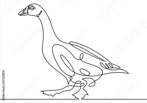 Continuous line drawing of goose.  Vector illustration.