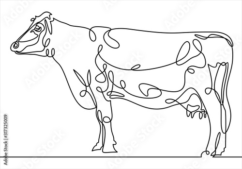 continuous line A beautiful cow is standing. white background