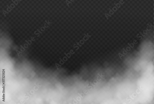 Smoke or fog isolated transparent effect on dark background. White cloudiness, mist or smog background. Vector illustration photo