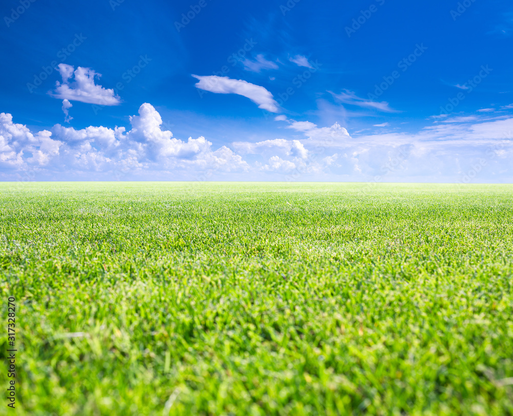 Classic beautiful landscape. Green surface of beautiful natural grassy lawn in summer sunny weather. Clear blue sky with cumulus clouds. Free from anything horizon. Classic beautiful landscape. Green surface of beautiful natural grassy lawn in summer sunny weather. Clear blue sky with cumulus clouds. Free from anything horizon.