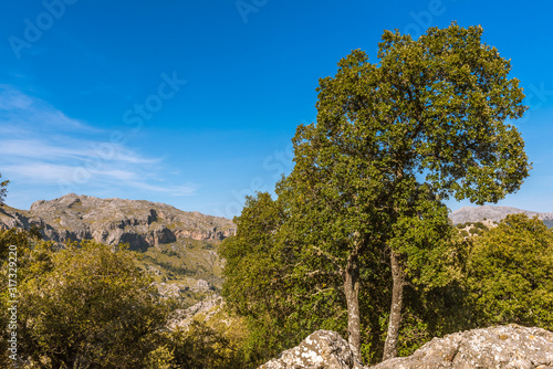 The mountainous northwest coast of the island of Majorca. Spain