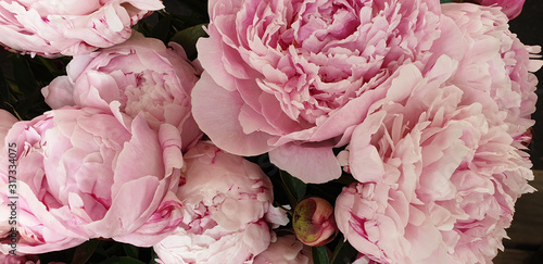 Fototapeta Naklejka Na Ścianę i Meble -  Pink peony petals floral spring flowers