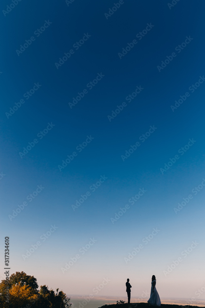 newlyweds on the lawn on a background of blue cloudless sky. sil