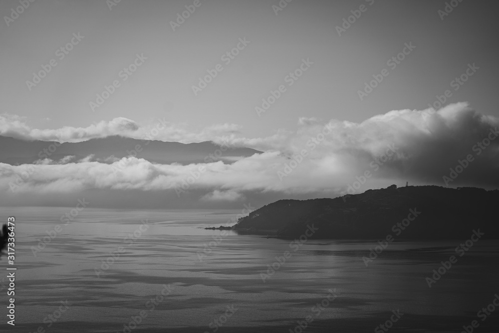 Wellington in a foggy morning; black and white style Wellington in a foggy morning; black and white style