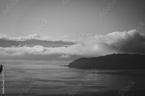 Wellington in a foggy morning  black and white style