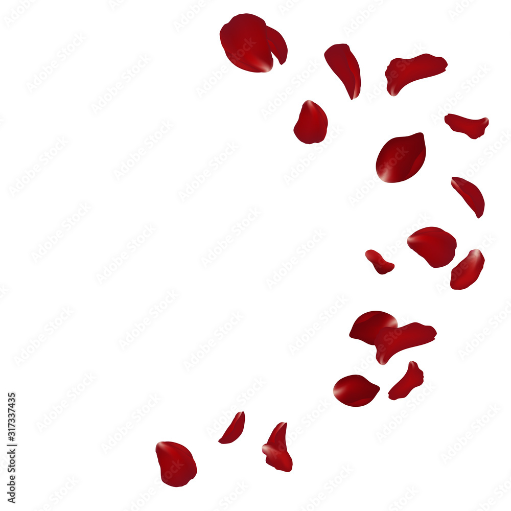 Falling red rose petals seasonal confetti, blossom elements flying isolated. Abstract floral background with beauty roses petal. design for greeting cards on March 8, Women Day, Valentine's Day. Falling red rose petals seasonal confetti, blossom elements flying isolated. Abstract floral background with beauty roses petal. design for greeting cards on March 8, Women Day, Valentine's Day.