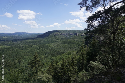 Forest and rock panorama from the Schrammsteine mountains in Saxon Switzerland