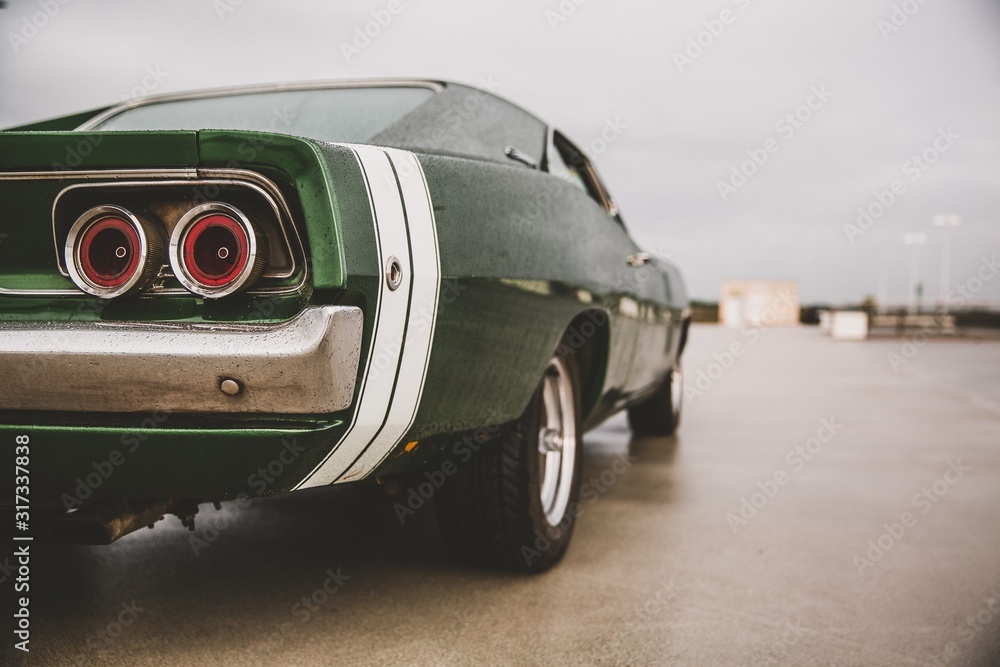 Closeup shot of a green muscle car on a blurred background - obrazy, fototapety, plakaty 