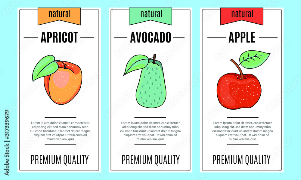 Fresh fruit banner set.  Apricot, Avocado, Apple. Vector stock illustration. food and  drink design. 