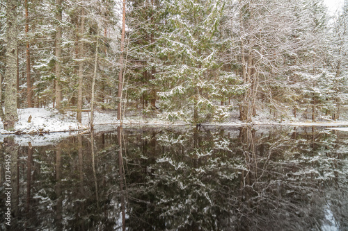 forest creek in winter forest. Sweden, long shutter speed.
