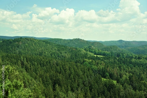 View from Kanzel over the forests and hills of Saxon and Bohemian Switzerland