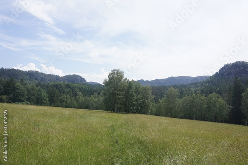 Beautiful view over meadow to the Teichstein and Lorenzstein mountains