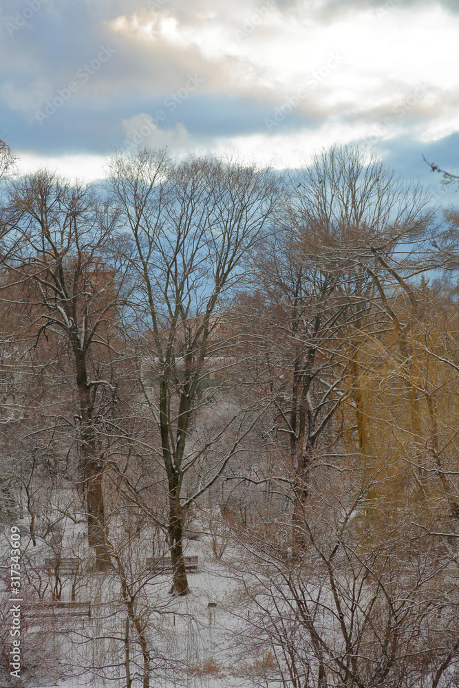 City park covered in snow at dusk of a winter evening City park covered in snow at dusk of a winter evening
