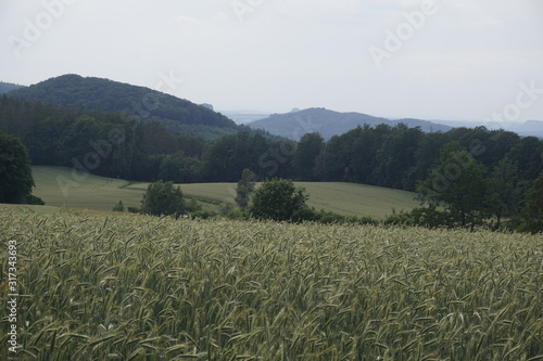 Beautiful view over meadow and forest to hills of Saxon Switzerland photo