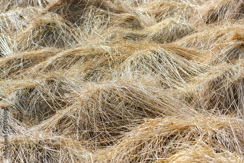 Mounds, covered with dry grass and snow in Iceland