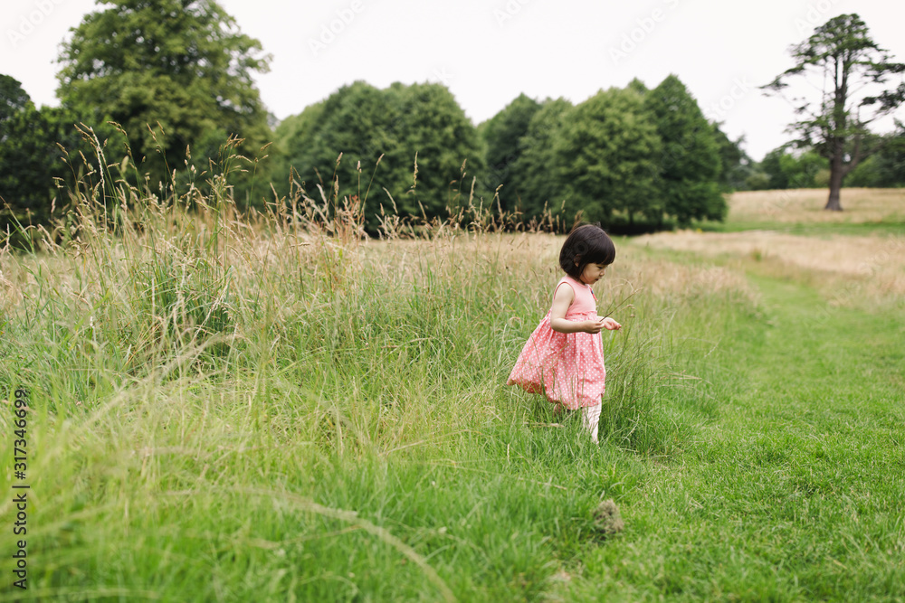 toddler girl playing in  summer countryside forest park,Northern Ireland