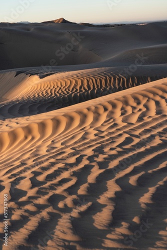 Fototapeta Naklejka Na Ścianę i Meble -  The Little Sahara sand dunes