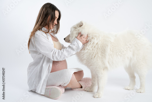 Fototapeta Naklejka Na Ścianę i Meble -  Young brunette pregnant woman in white shirt sitting on the ground and touching samoyed dog, white background