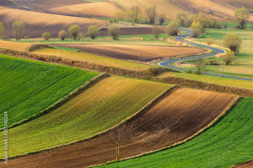 Spring fields in Ponidzie in Poland- fields near Kielce and Krakow. 