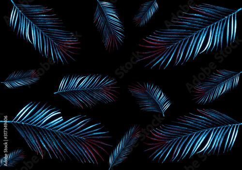 Palm leaf on black background