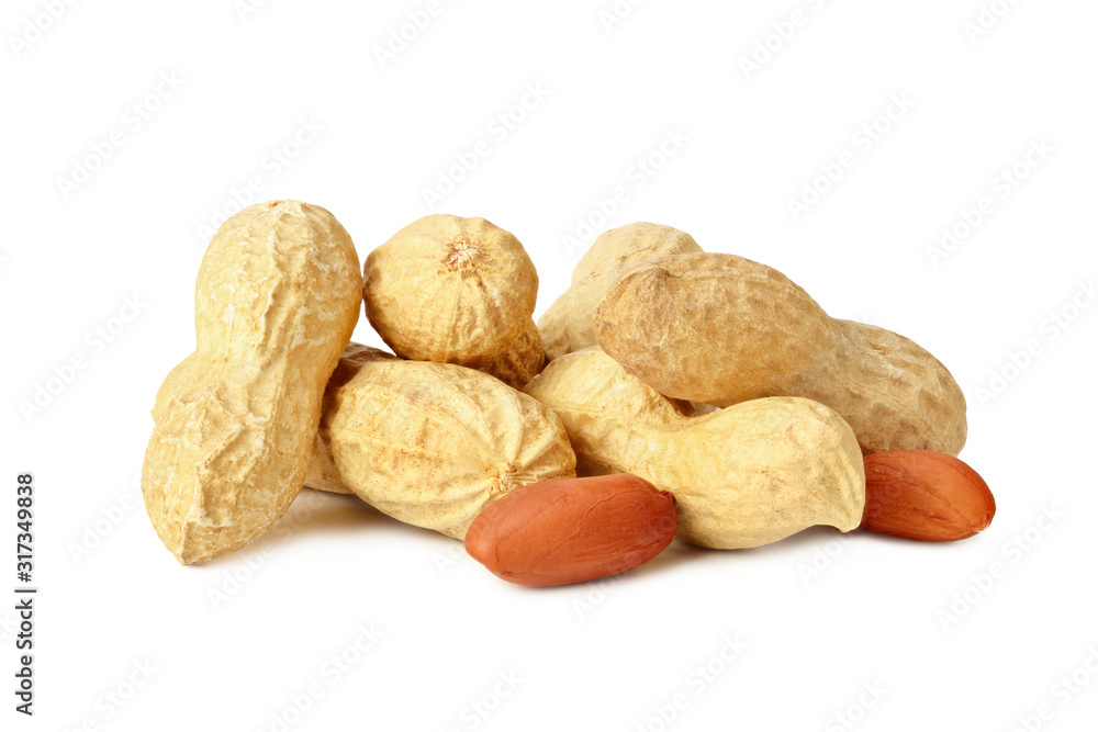 Dried peanuts isolated on white background. Food Dried peanuts isolated on white background. Food