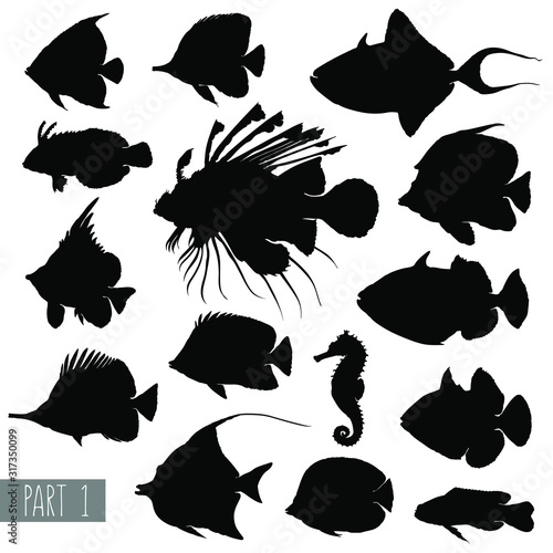 most popular sea fishes silhouettes. Set 1. Vector illustration