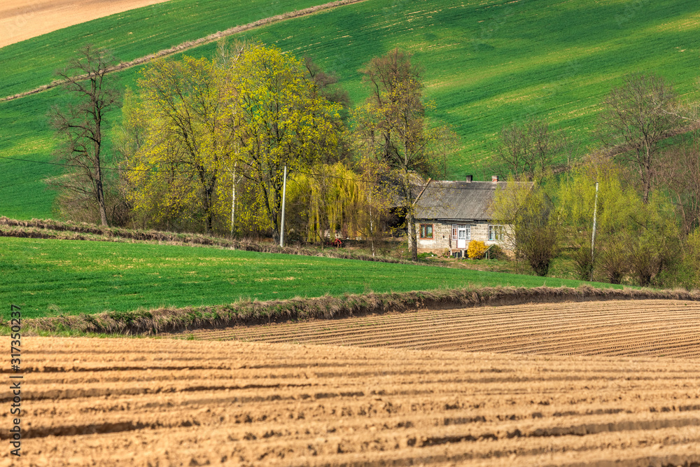 Spring fields in Ponidzie in Poland- fields near Kielce and Krakow. Spring fields in Ponidzie in Poland- fields near Kielce and Krakow.