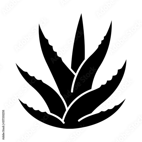 Succulent black glyph icon. Aloe vera sprouts. Cactus leafs. Growing medicinal herb. Decorative plant. Ingredient for organic cosmetic. Silhouette symbol on white space. Vector isolated illustration