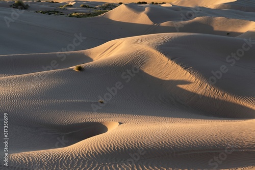 Fototapeta Naklejka Na Ścianę i Meble -  The Little Sahara sand dunes