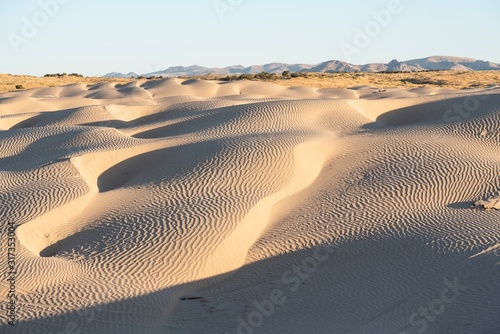 Fototapeta Naklejka Na Ścianę i Meble -  The Little Sahara sand dunes