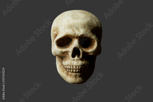 Fake Real Looking Human Skull
