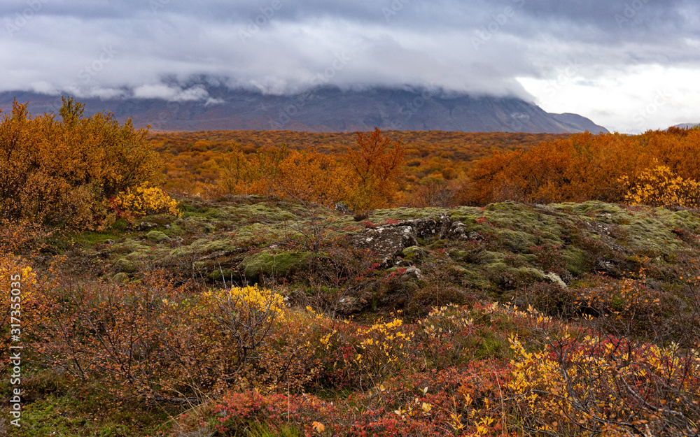 Typical Icelandic volcanic landscape in autumn