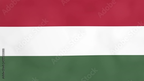 Hungarian Flag of Hungary isolated alpha channel and luma matte