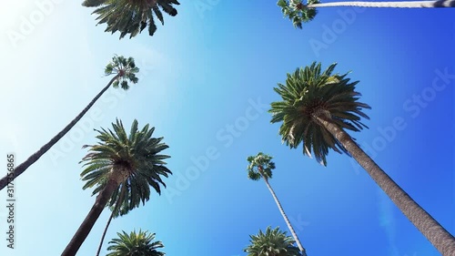 Beverly Hills street with palm trees. Sunny day. Los Angeles, California. United States.