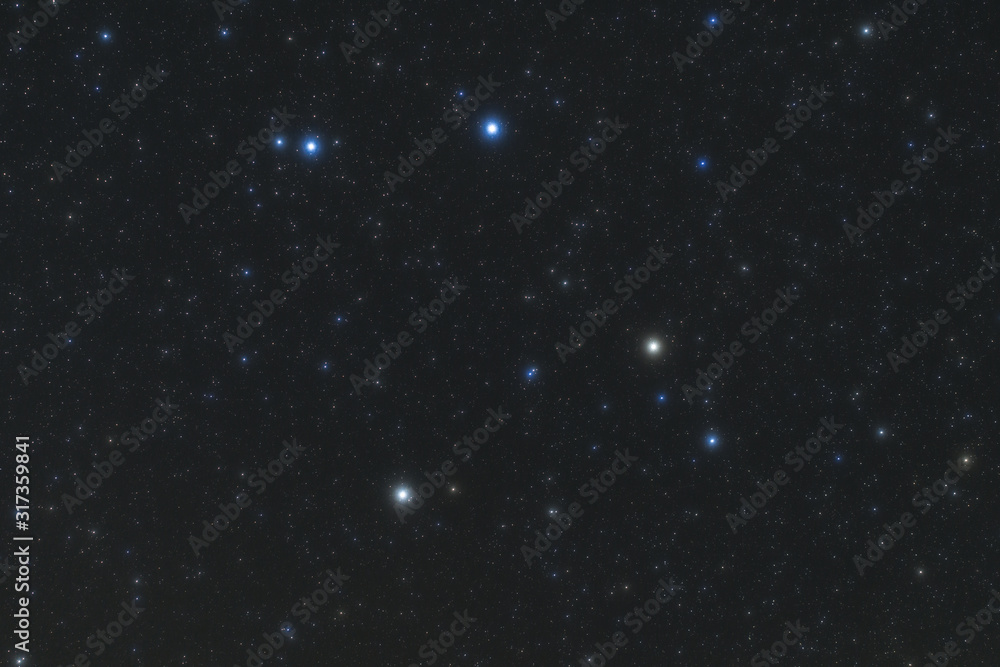 Fototapeta premium からす座